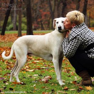 Merlin,labrador-agár keverék  - Feltöltötte: Török Erika