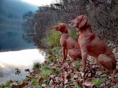 Tisza és Nádor - Feltöltötte: Agócsné Gulyás Edina