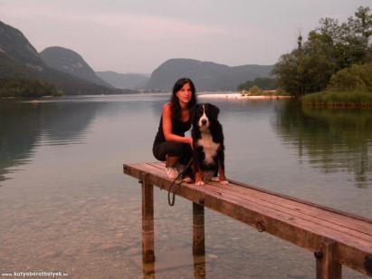 Szlovénia, Bohinji tó - Feltöltötte: Auer-Tóth Rita