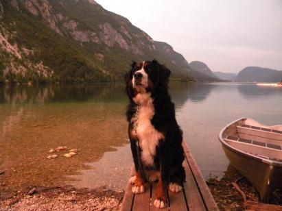 Bohinji tó - Feltöltötte: Auer-Tóth Rita