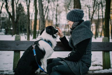 Amikor magam mellé vettem ezt a kis tökfejet, álmodni sem mertem, hogy ez egyilyen csodálatos utazás lesz, ami nem csak a kettőnk kapcsolatát építi, hanem tovább navigál az állatvédelem felé is. Örök hálám ezé a 4 tappancsé!  - Feltöltötte: Németh Georgina