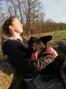 Mollival a kedvenc helyünkön (Ő egy nagyon barátságos kutya, aki néhány hetes korában be volt dobva egy lakatlan udvarba. Azóta minden nap tanusítja nekünk hűségét és mérhetetlen háláját. Nagyon szeretjük! ❤️ - Feltöltötte: Botan-Simon Hajnalka